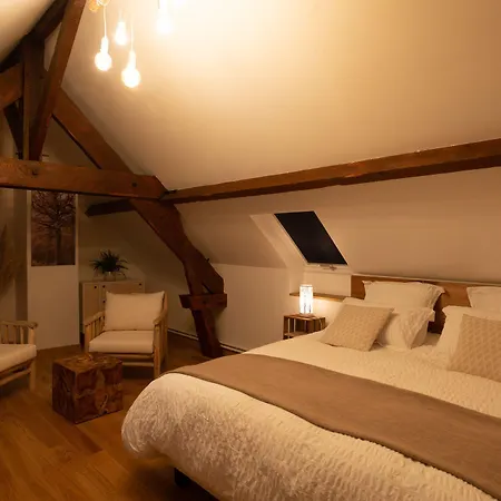 La Ferme Du P'tit Colibri Bed & Breakfast Gury